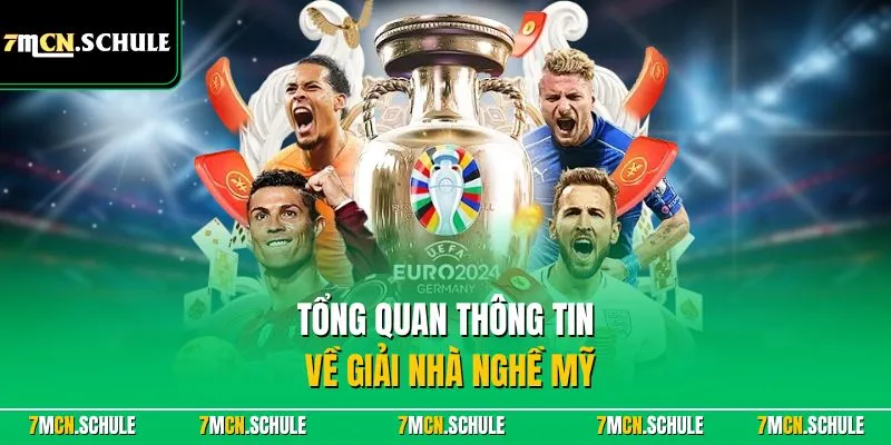 Tổng quan thông tin về giải nhà nghề Mỹ